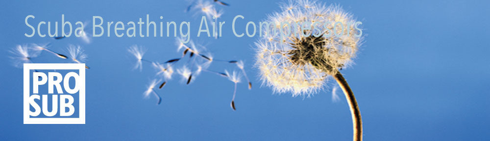 Scuba Breathing Air compressors